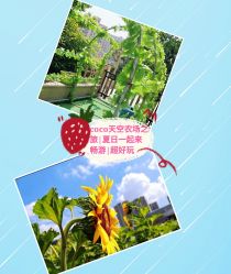 -可可天空农场(中大店)