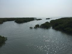 -北海金海湾红树林生态旅游区