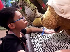 -济州岛泰迪熊博物馆