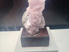 -天津自然博物馆