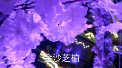 -保定金沙芝柏婚礼策划