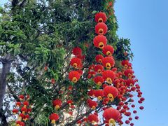 -晓港公园