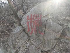 -阳台山自然风景区