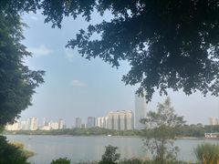 -南宁南湖公园