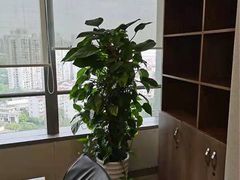 -陈金波律师 ·专注离婚案件·君澜律所