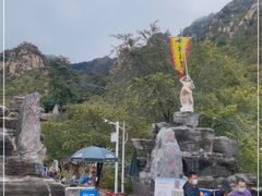 -大岭沟猕猴桃谷风景区