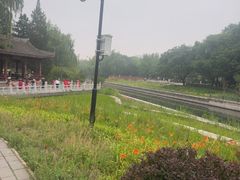 -元大都城垣遗址公园