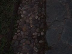 -天秀花园古月园