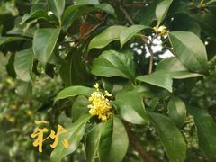 -白塘生态植物园