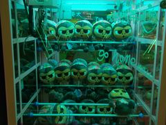-汤姆熊欢乐世界(罗斯福店)
