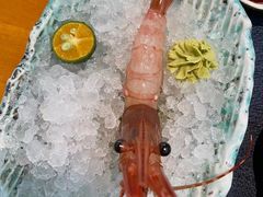 牡丹虾-千代御(工农大路店)