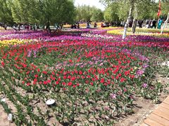 -长春公园(普阳街道)