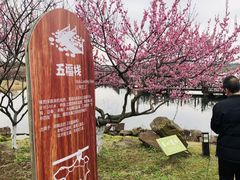 -上海海湾国家森林公园