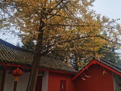 -金堂县云顶石城风景区