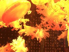 -多彩贵州城极地海洋世界