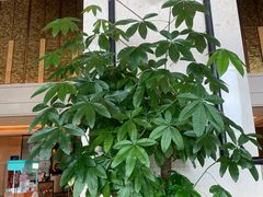 -汕头龙光喜来登酒店