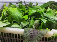 -黔府豆米火锅野菜馆(南马店)