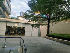 -Apple零售店(深圳益田假日广场店)