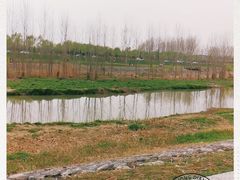 -洨河生态公园
