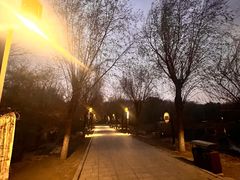 -长春市南湖公园