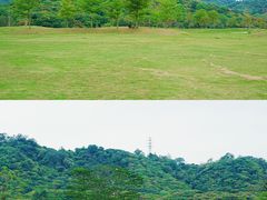 -风云岭森林公园