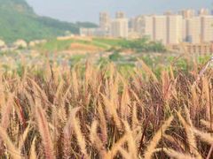 -白石龙音乐公园