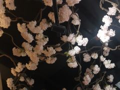 -星河湾温泉洗浴酒店