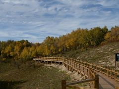 -塞罕坝国家级自然保护区