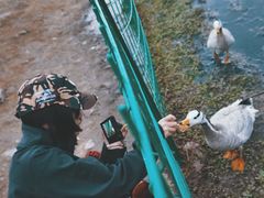-青海湖国家重点风景名胜区