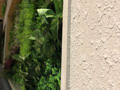 -牛油果大师寿司(瑞景店)