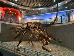 -国家自然博物馆