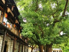 -横琴蚝苑·地道农家菜
