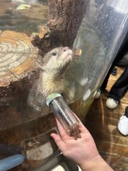 -Zoolung Zoolung动物主题公园(海信广场店)