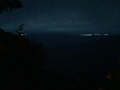 -阿里山神木遗迹