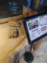 -酷嗒动物文化乐园(cutezoo西溪乐天城店)