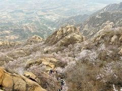 -北京凤凰岭