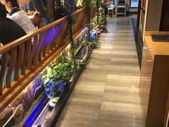 -渝乡老妈·北京烤鸭(六里桥店)