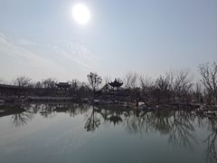 -上海滨江森林公园