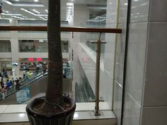 -上海市中医医院(芷江路院区)