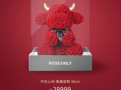 -ROSEONLY诺誓(国际广场购物中心店)