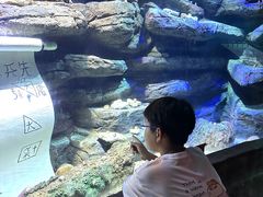 -沈阳海洋探索中心