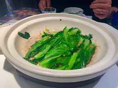 砂锅油麦菜-撒椒·四川江湖菜(大族广场店)