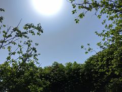 -成都市文化公园