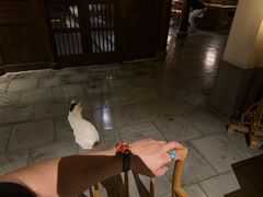 -法云安缦酒店