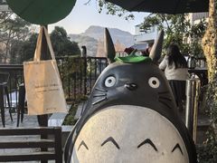 -杭州西湖风景名胜区-满觉陇四眼井