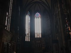 -斯蒂芬主教座堂(Stephansdom)