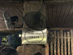 -珠海长隆海洋王国-鹦鹉过山车