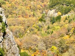 -叠溪松坪沟景区
