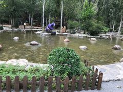 -幽岚山·童话森林