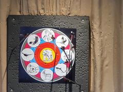 -轻武堂传统射箭·功夫茶·射击体验馆(仁和新城店)